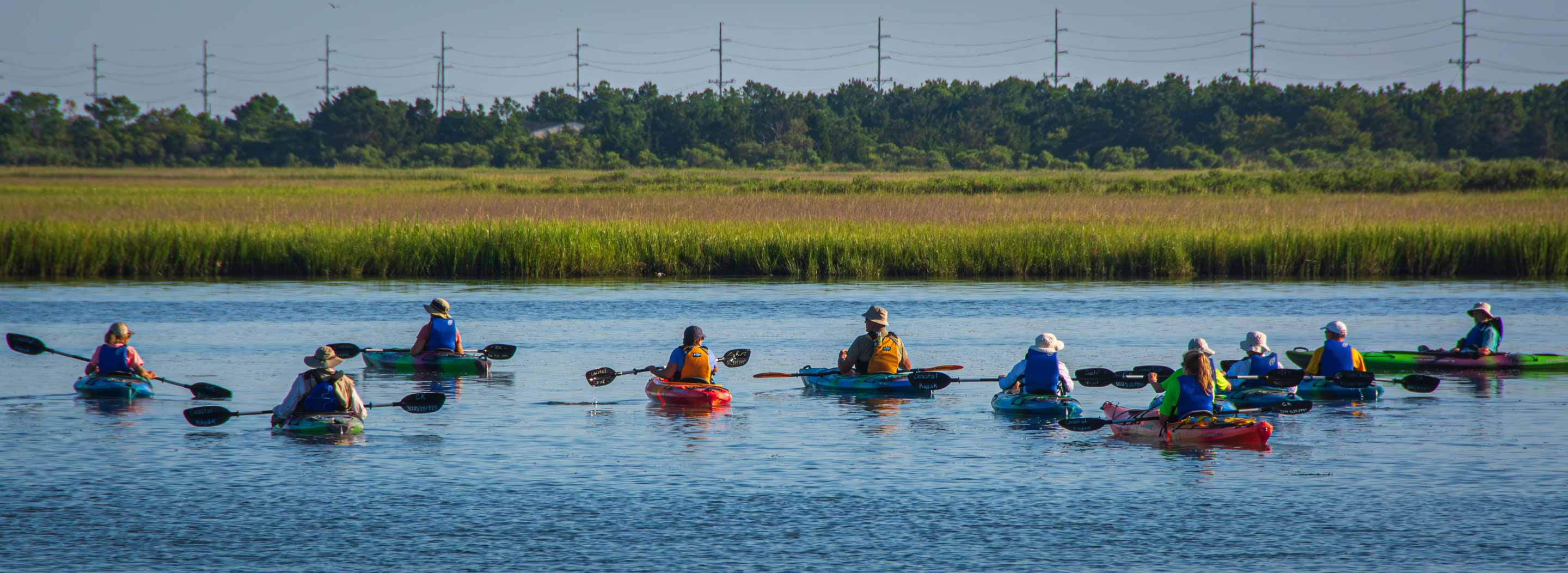 Yrs_2015-2019_CCC_IMG_006839_ - Wildlife SIG outing with Coastal Kayak.  Burton's Island August 2019.jpg